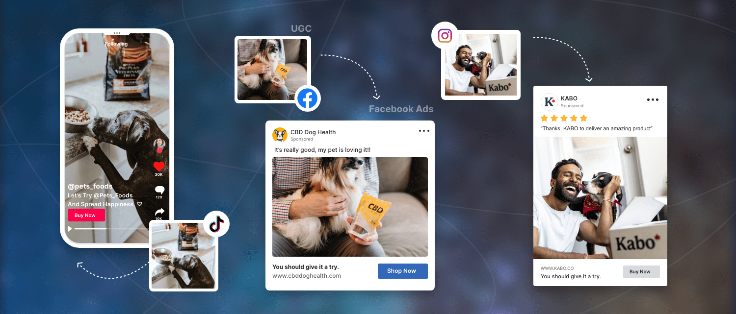 UGC in Facebook, Instagram & TikTok Ads