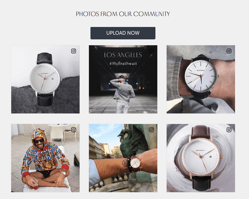 best instagram feed examples on website