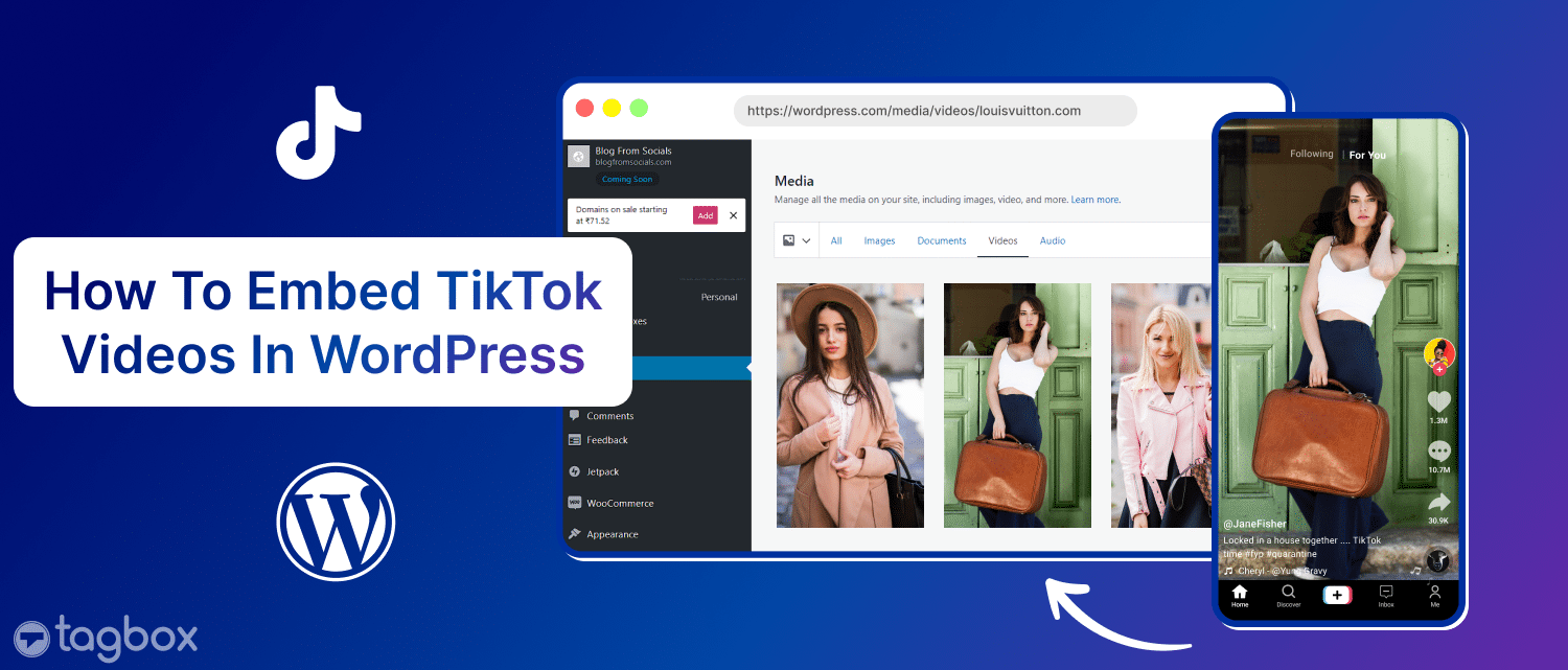 tiktok on wordpress