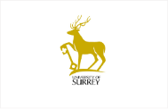 University of Surrey